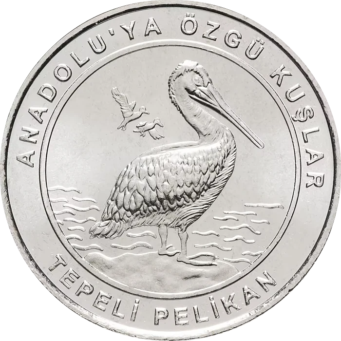 Tepeli Pelikan
